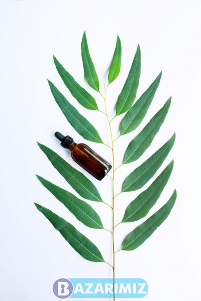 اسانس برگ زیتون OLIVE LEAF یک 1 کیلویی پیرامید تجارت ارومیه