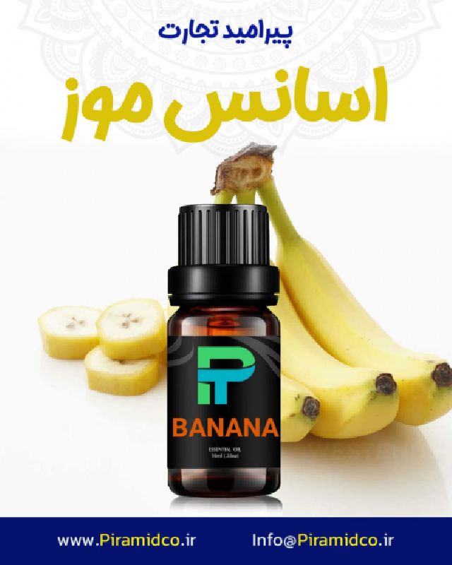 اسانس موز MUZ ده 10 کیلویی پیرامید تجارت ارومیه