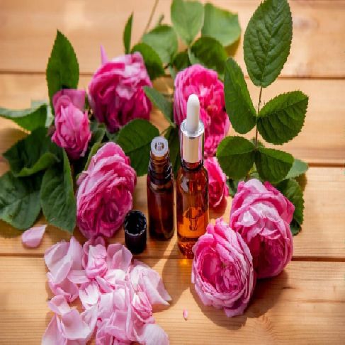 اسانس جادوی گل رز پنج 5 کیلویی The Magic of vernal rose پیرامید تجارت ارومیه