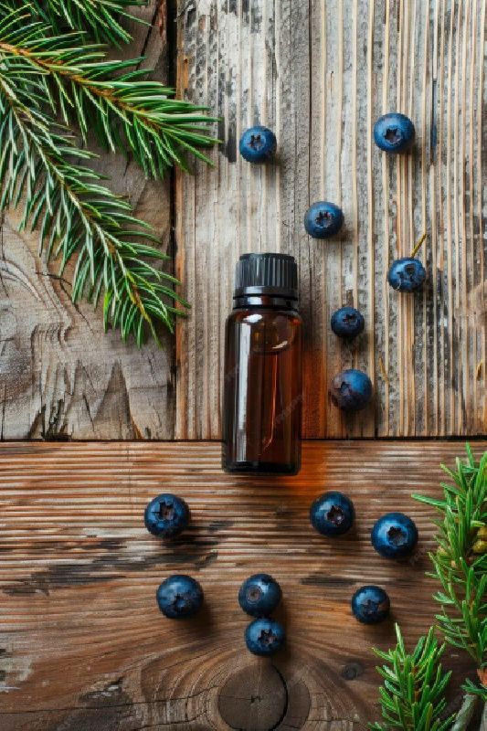 اسانس سرو کوهی یک 1 کیلویی Juniper پیرامید تجارت ارومیه