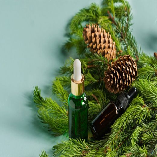 اسانس کاج تازه 5 پنج کیلویی PINE FRESH پیرامید تجارت ارومیه