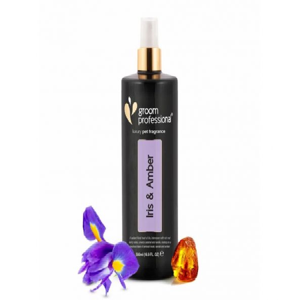 اسانس گل کهربا 10 ده کیلویی AMBER IRIS پیرامید تجارت ارومیه