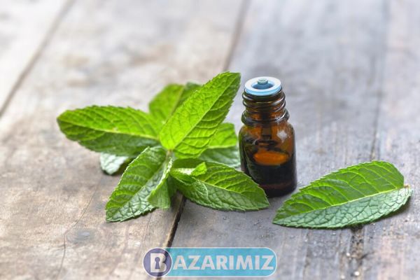 اسانس نعناع 25 کیلویی MINT پیرامید تجارت ارومیه