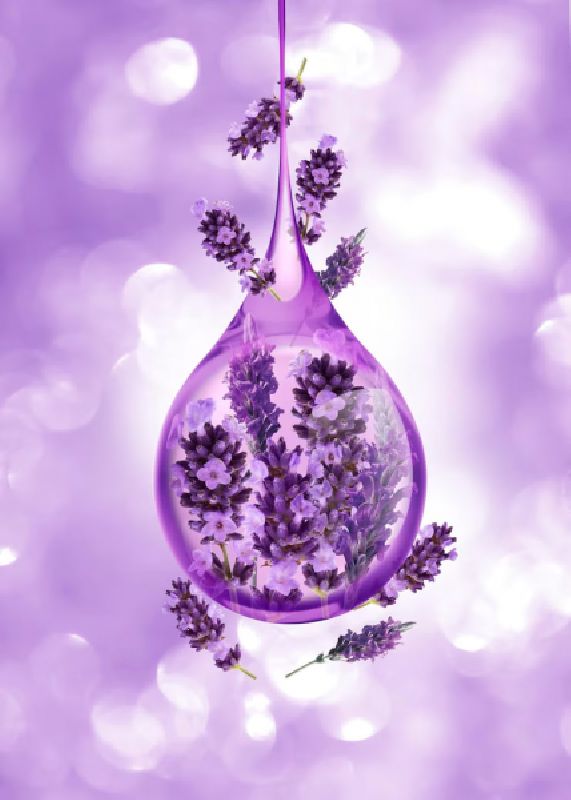 اسانس پودر دست آریل و پرسیل لوندر اسطوخودوس شرکت پیرامید تجارت ارومیه