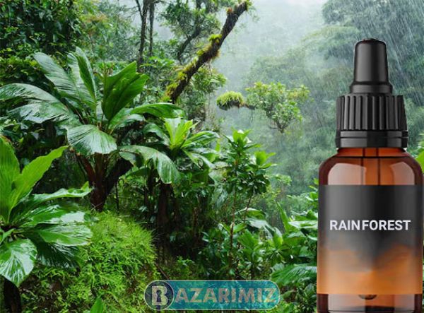 اسانس جنگل بارانی RAIN FOREST شرکت پیرامید تجارت ارومیه