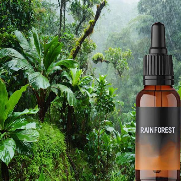 اسانس جنگل بارانی RAIN FOREST شرکت پیرامید تجارت ارومیه