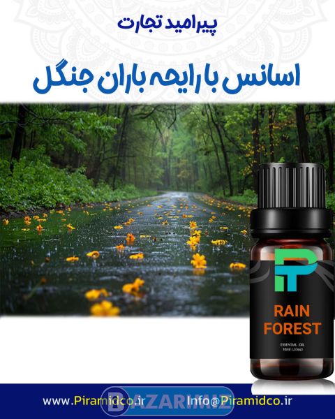 اسانس با رایحه باران جنگل RAIN FOREST