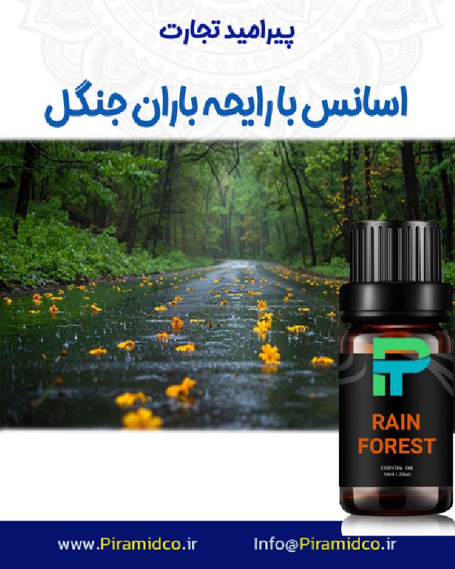 اسانس با رایحه باران جنگل RAIN FOREST
