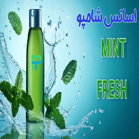 اسانس شامپو نعناع تازه MINT FRESH شرکت پیرامید تجارت ارومیه