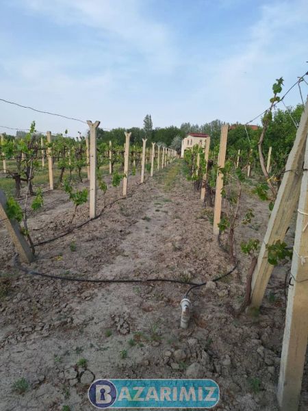 فروش ویلا باغ 7400 متر در جاده امامزاده ( حاجی پیرلو) ارومیه