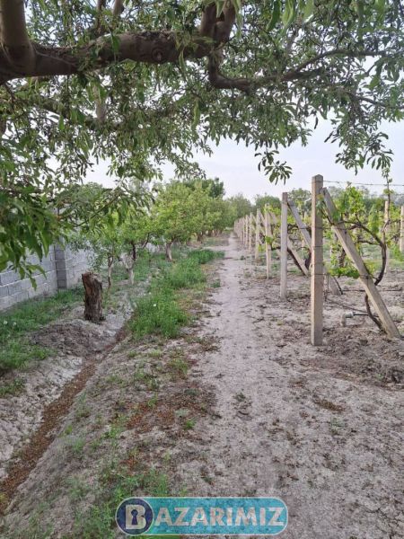 فروش ویلا باغ 7400 متر در جاده امامزاده ( حاجی پیرلو) ارومیه