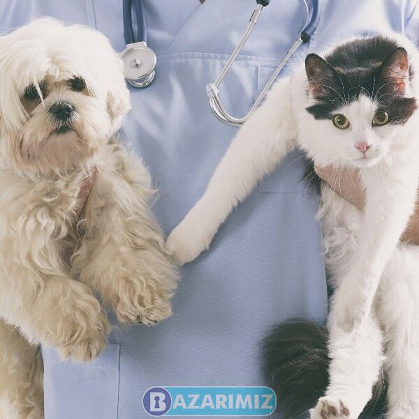 کلینیک دامپزشکی پاندا حیوانات خانگی در ارومیه دکتر علی ملکی فر